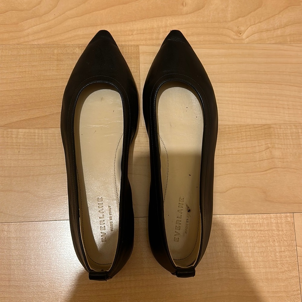 Everlane Black Pointed Toe Flats